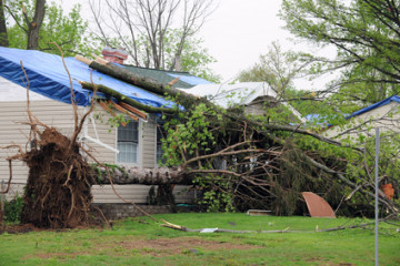 Tarping and Emergency Services