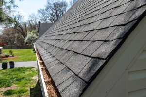 free roofing estimate | cost
